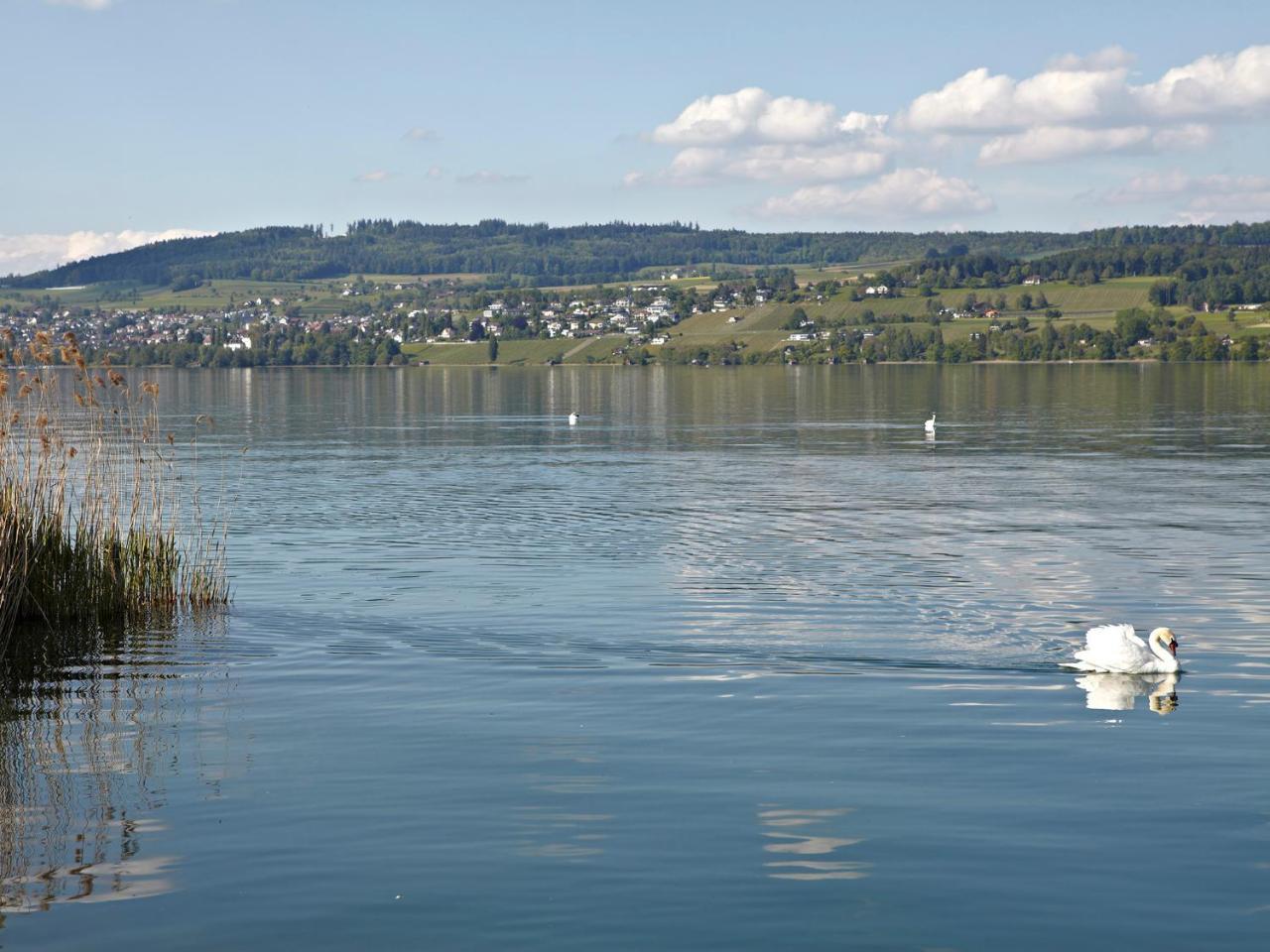 Hotel-Restaurant-Schifflaende Birrwil ภายนอก รูปภาพ